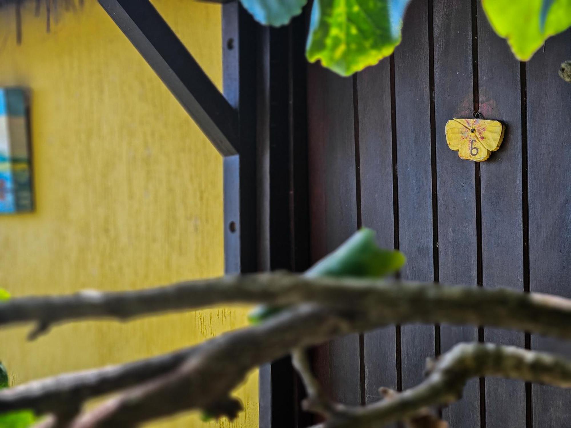 Hotel Bella Vista Ocean View Búzios Zewnętrze zdjęcie A yellow butterfly on a wall